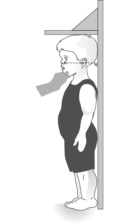 立位身長の測定法