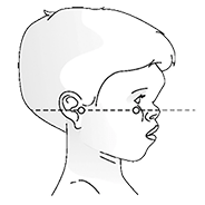 フランクフルト平面