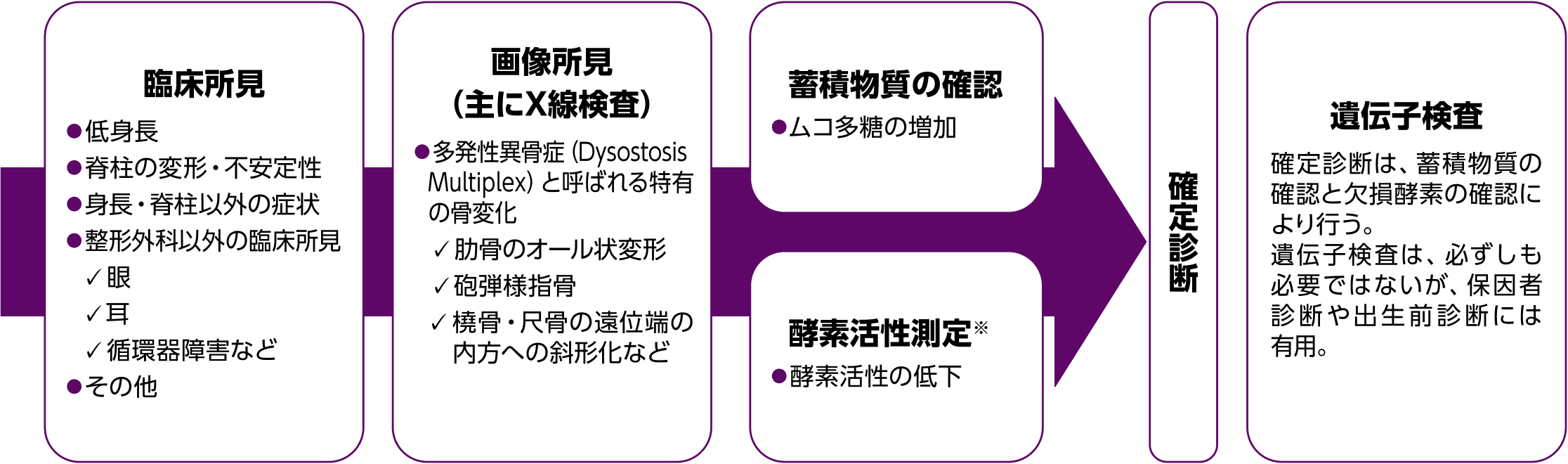 ムコ多糖症（MPS）診断の流れ