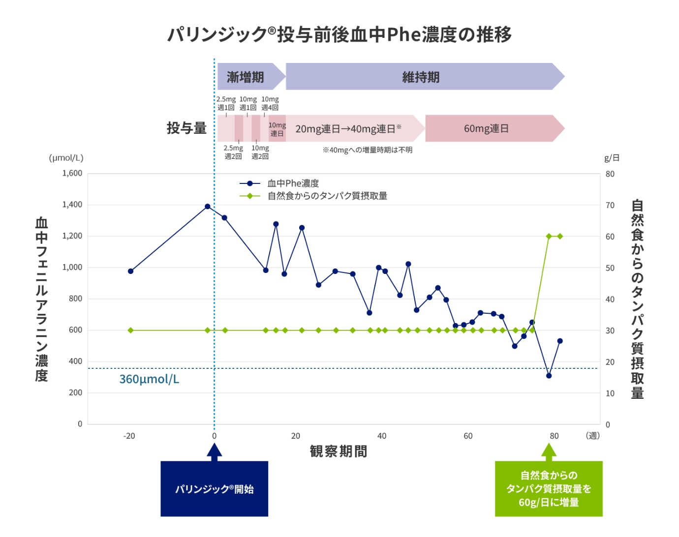 パリンジック®投与前後血中Phe濃度の推移